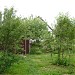Озёрная ул., 10 в городе Долгие Бороды