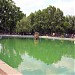 Pond in Simferopol city