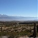 Parque Nacional Los Cardones