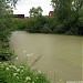 Заболоченный пруд в городе Химки