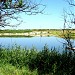Пруд в пойме реки Рыгин в городе Каменск-Шахтинский