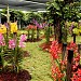 Taman Orkid Tengku Anis
