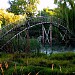 bridge (en) в городе Единец