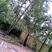 Malikkulam house- Abdu. in Chavakkad city