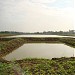 Fish Farm - Madha Fish Farm Mayiladuthurai (vimal - 9962437366)