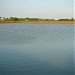 Fish Farm - Madha Fish Farm Mayiladuthurai (vimal - 9962437366)