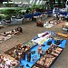 Sunday Flea Market in Tokyo city