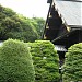 Honden (Main Shrine) in Tokyo city