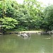 Shinchi (Sacred Pond) in Tokyo city