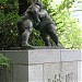 Sumo ring in Tokyo city