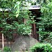 Senshintei Teahouse in Tokyo city