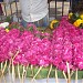 Flower Market