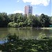 Konsky ('Horse') pond in Moscow city