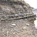 Бывшие Дедюхинские причалы в городе Березники