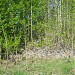 Холм в городе Березники