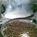 Local Gurr (Brown Sugar) Factory In Dargai...