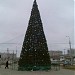 Площадка для установки новогодней ели в городе Краснодар