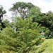 Cable Car - Jewel Box Base Station. in Republic of Singapore city