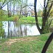 Staw (pl) in Warsaw city