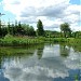 Staw przy ulicy Portowej in Węgorzewo city