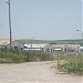 Geese farm