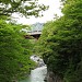 Railway and auto bridges