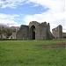 Ballybeg Priory