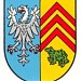 Thaleischweiler-Fröschen