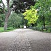 Botanischer Garten der Universität Wien