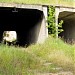 Железобетонные туннели карьерной узкоколейной железной дороги в городе Дзержинский