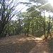  Praça Valdir Azevedo (Parque de Pinheiros) (pt) in São Paulo city