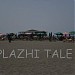 Plazhi i Tales