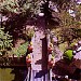 Castillo del Mono Osorio in Bogota city