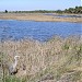 St. Marks National Wildlife Refuge