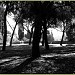 Il Prato dello Strozzino (it) in Florence city