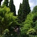 Jardin botanique Hanbury