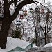 Колесо обозрения в городе Пенза