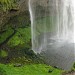 Seljalandsfoss