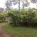 Yashee's Home in Panadura city