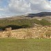 Ruines Romaines de Cuicul (Djemila)