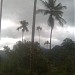 Vellari mala peak - 2240m (Highest point in Wayanad district)