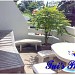Tui's Place in Pattaya City city