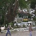 Makam Kyai Ronggo-Sekarputih di kota Bondowoso