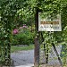 Allotment gardens 