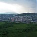 Pea fields in Magadan city