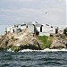 Migingo Island