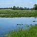 Presque Isle State Park