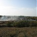 Оранжерея в городе Волжский