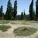 Футбольное поле (ru) in Sievierodonetsk city