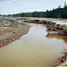 Dead land in the valley of the Sak-Elga river